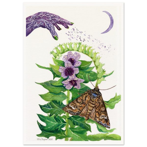 Black Henbane the Witches’ Herb print of an original watercolour by Nicky Perryman