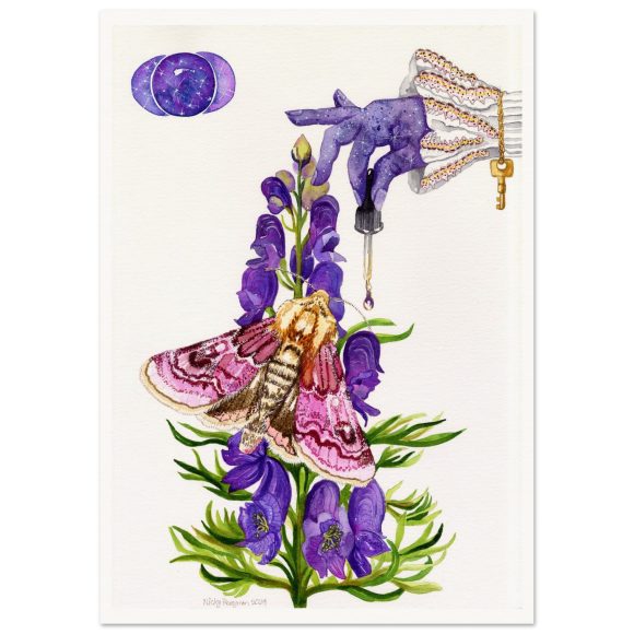 Monkshood Queen of Poisons art print from an original watercolour painting by artist Nicky Perryman